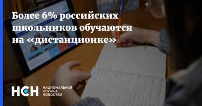 Более 6% российских школьников обучаются на «дистанционке» - nsn.fm - Россия