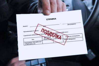 В Кольчугино продавали отрицательные тесты на коронавирус - vladimir.mk.ru