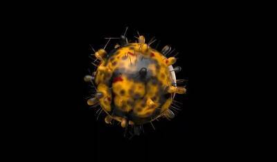 Статистика: две трети людей, заразившихся "Омикроном", уже болели коронавирусом - newizv.ru - Англия - Лондон