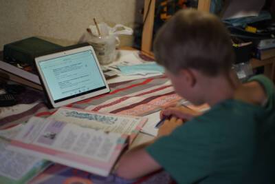 В Кремле ответили на вопрос о переводе школьников на онлайн-обучение - abnews.ru - Россия