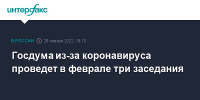 Александр Жуков - Госдума из-за коронавируса проведет в феврале три заседания - interfax.ru - Россия - Москва