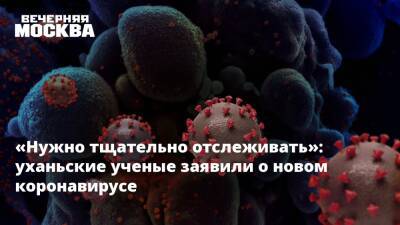 Наталья Пшеничная - «Нужно тщательно отслеживать»: уханьские ученые заявили о новом коронавирусе - vm.ru - Китай - Юар