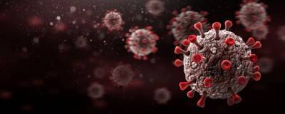 В ЮАР обнаружен новый потенциально опасный для человека коронавирус NeoCov - runews24.ru - Юар