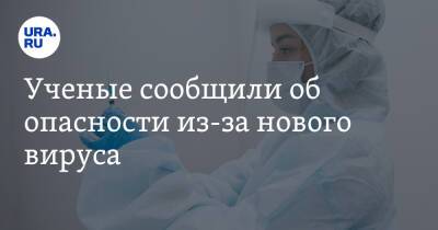 Владимир Тимошилов - Ученые сообщили об опасности из-за нового вируса - ura.news - Юар