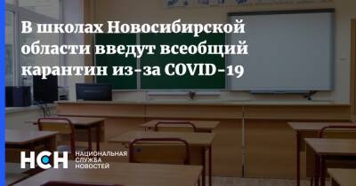 Андрей Травников - В школах Новосибирской области введут всеобщий карантин из-за COVID-19 - nsn.fm - Новосибирская обл.