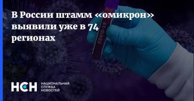 В России штамм «омикрон» выявили уже в 74 регионах - nsn.fm - Россия
