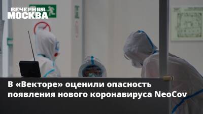 Анатолий Альтштейн - В «Векторе» оценили опасность появления нового коронавируса NeoCov - vm.ru - Китай - Юар