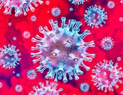 «Вектор»: найденный в ЮАР коронавирус NeoCov пока не опасен для людей - newsland.com - Ухань - Юар