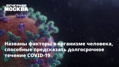 Елена Смолярчук - Названы факторы в организме человека, способные предсказать долгосрочное течение COVID-19 - vm.ru