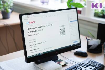 Михаил Мишустин - Сертификат о противопоказаниях к вакцинации можно будет получить на портале госуслуг - komiinform.ru