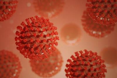 Появление нового коронавируса в ЮАР прокомментировали в «Векторе» - abnews.ru - Россия - Юар
