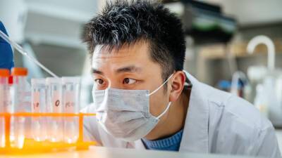 В Китае зафиксировано два случая вируса птичьего гриппа у людей - russian.rt.com - Китай - Япония - Гонконг