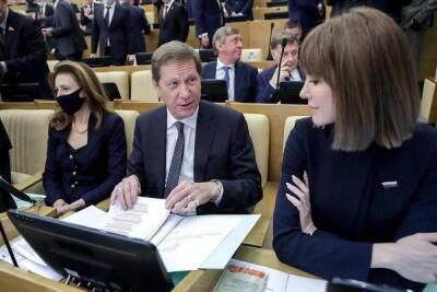 Депутат Госдумы рассказал, сколько зарабатывают парламентарии - mk.ru