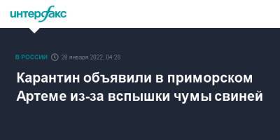 Карантин объявили в приморском Артеме из-за вспышки чумы свиней - interfax.ru - Москва - Приморье край