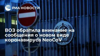 ВОЗ обратила внимание на сообщения о новом виде коронавируса NeoCoV и изучит его опасность - ria.ru - Юар