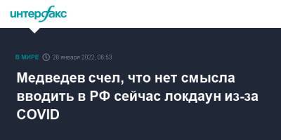 Дмитрий Медведев - Медведев счел, что нет смысла вводить в РФ сейчас локдаун из-за COVID - interfax.ru - Россия - Москва