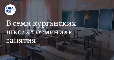 Андрей Кочеров - В семи курганских школах отменили занятия - ura.news - Курганская обл.