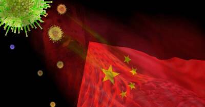 Чем угрожает миру вспышка высокопатогенного птичьего гриппа в Китае - ren.tv - Китай