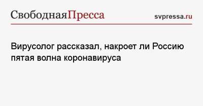 Сергей Нетесов - Вирусолог рассказал, накроет ли Россию пятая волна коронавируса - svpressa.ru - Россия