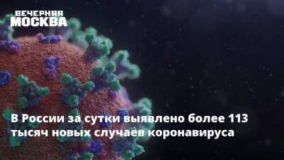 Евгений Брюн - В России за сутки выявлено более 113 тысяч новых случаев коронавируса - vm.ru - Россия - Москва
