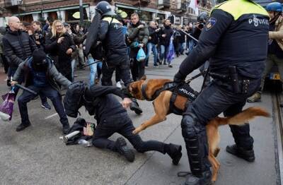 COVID-протест в Амстердаме: полицейские спустили собак - unn.com.ua - Украина - Киев - Амстердам
