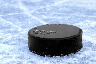 Задоров разочарован, что НХЛ запретила игрокам участвовать в Олимпиаде - sport.ru - Россия - Пекин