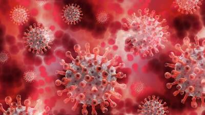 Джонс Хопкинс - В мире заразились коронавирусом более 290 миллионов человек - newdaynews.ru - Сша - Индия - Бразилия