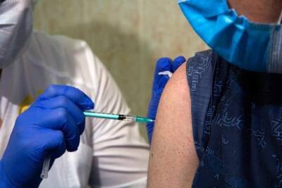 Сергей Нетесов - Новосибирский вирусолог считает, что вакцинация детей от COVID-19 поможет снизить уровень заболеваемости среди взрослых - tayga.info