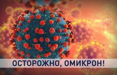 Осторожно, «омикрон»! Кого выбирает новый штамм вируса и как уберечься? - ont.by - Белоруссия