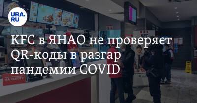 KFC в ЯНАО не проверяет QR-коды в разгар пандемии COVID - ura.news - округ Янао - Салехард