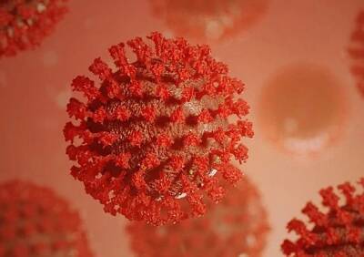 Ученые назвали способ получить «супериммунитет» против коронавируса - ya62.ru