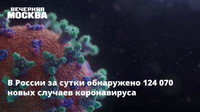 В России за сутки обнаружено 124 070 новых случаев коронавируса - vm.ru - Россия