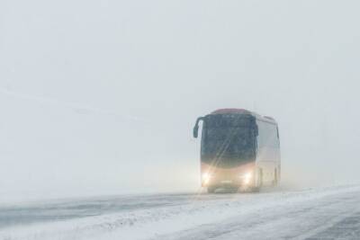 Автобусы из Петербурга в Хельсинки будут ходить ежедневно - spb.mk.ru - Санкт-Петербург - Финляндия - Хельсинки - Пресс-Служба