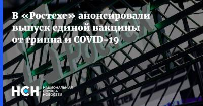 Сергей Чемезов - В «Ростехе» анонсировали выпуск единой вакцины от гриппа и COVID-19 - nsn.fm