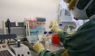Во Франции выявили новый штамм коронавируса - newizv.ru - Франция
