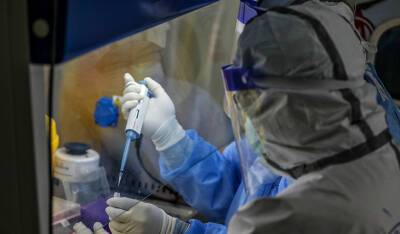 Во Франции выявили новый штамм коронавируса с 46 мутациями - og.ru - Франция - Камерун - Марсель