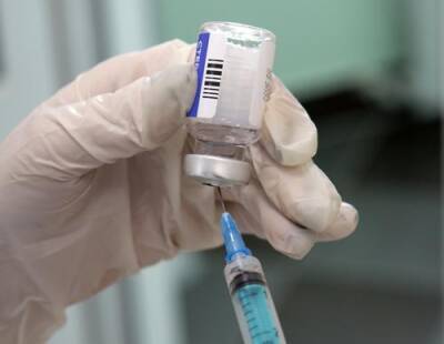 В Армении одобрили использование российской вакцины «Спутник Лайт» - argumenti.ru - Россия - Армения