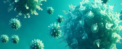 Новый штамм коронавируса обнаружен на юге Франции - runews24.ru - Франция - Австрия - Камерун