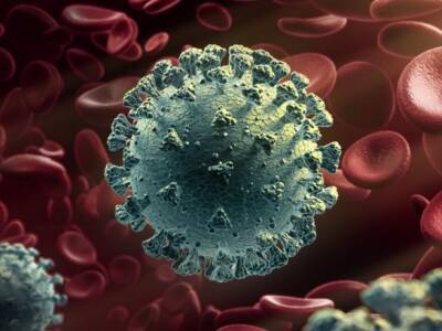 На юге Франции обнаружили новый штамм коронавируса - unn.com.ua - Франция - Украина - Киев