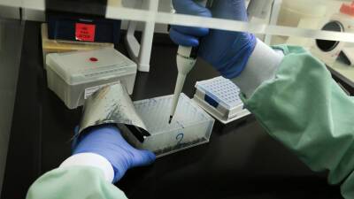 Во Франции за сутки выявили почти 272 тысячи случаев коронавируса - russian.rt.com - Россия - Франция - Santé