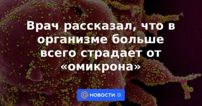Михаил Мурашко - Врач рассказал, что в организме больше всего страдает от «омикрона» - news.mail.ru - Россия - Юар - Ботсвана