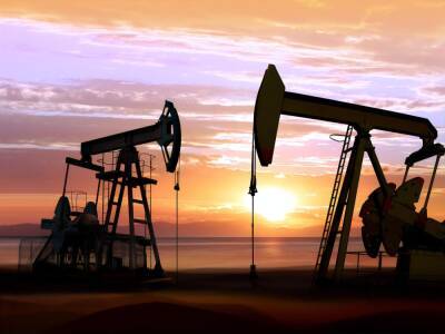 Александр Новак - Страны ОПЕК+ договорились увеличить добычу нефти в феврале - gordonua.com - Россия - Украина - Саудовская Аравия