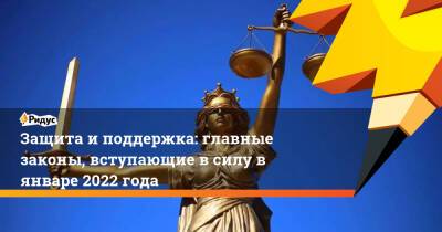 Защита и поддержка: главные законы, вступающие в силу в январе 2022 года - ridus.ru - Россия