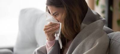 Эпидемпорог заболеваемости ОРВИ и гриппа в Карелии превышен более чем в полтора раза - stolicaonego.ru - Петрозаводск - республика Карелия