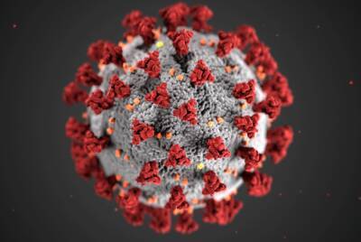 Ассоциация врачей Японии заявила о шестой волне коронавируса COVID-19 - abnews.ru - Япония