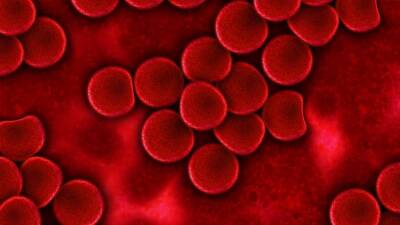 Образующиеся в крови больных микросгустки могут быть связаны с «длительным COVID-19» - inforeactor.ru