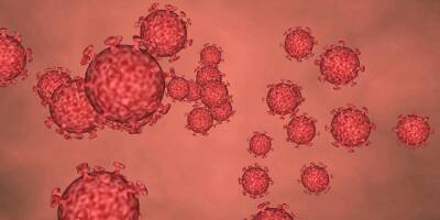 Ученые: «омикрон» – самый заразный вирус в истории человечества - detaly.co.il - Испания