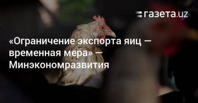 «Ограничение экспорта яиц — временная мера» — Минэкономразвития - gazeta.uz - Узбекистан