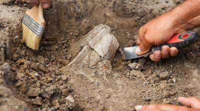 Ученые рассказали о возможных археологических открытиях 2022 года - belta.by - Белоруссия - Египет - Израиль