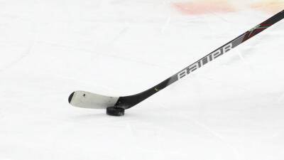 КХЛ может временно приостановить чемпионат из-за сложной коронавирусной ситуации - russian.rt.com